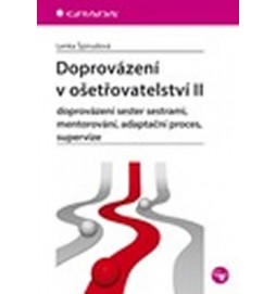 Doprovázení v ošetřovatelství II - doprovázení sester sestrami, mentorování, adaptační proces, supervize