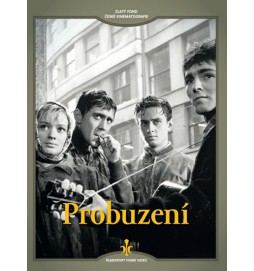 Probuzení - DVD (digipack)