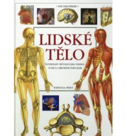 Lidské tělo