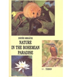 Nature in the Bohemian paradise