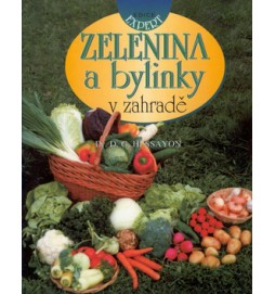 Zelenina a bylinky v zahradě