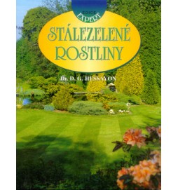 Stálezelené rostliny