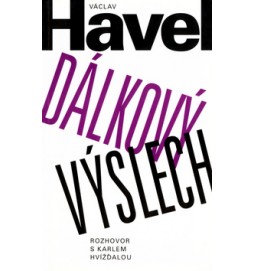 Dálkový výslech
