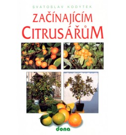 Začínajícím citrusářům